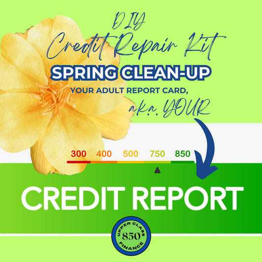 DIY Credit Repair - Spring Clean Up Your Credit Report (Instant eBook Download)