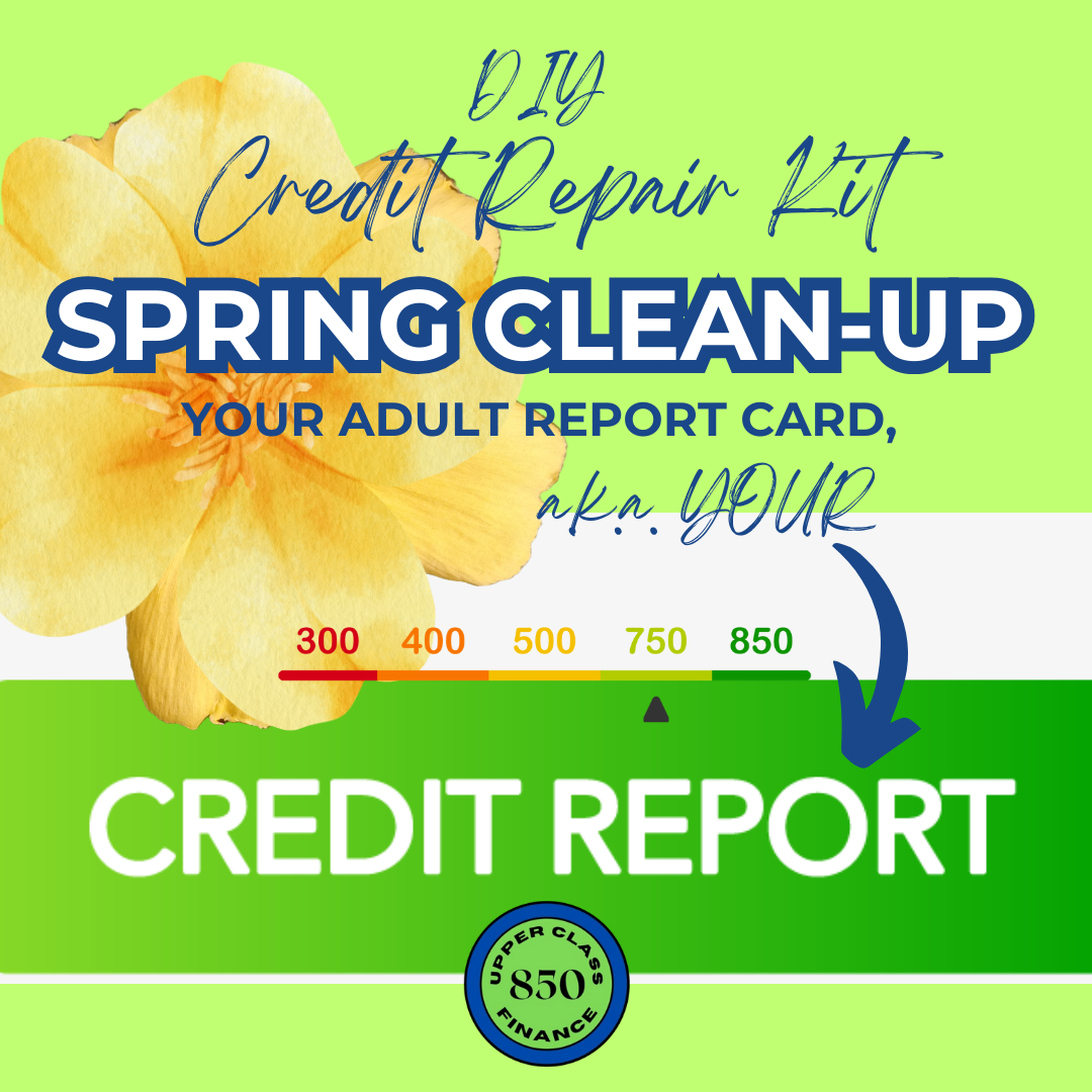 DIY Credit Repair Kit - Spring Clean Up Your Credit Report (Instant eBook Download)
